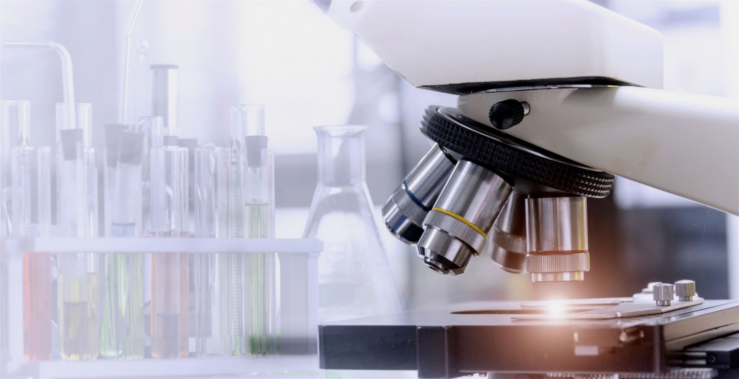 バイオフォトニクスイノベーション寄附講座写真01